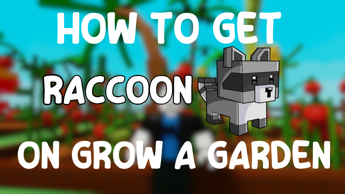 How to Get the Raccoon Pet in Grow a Garden – Fastest Methods