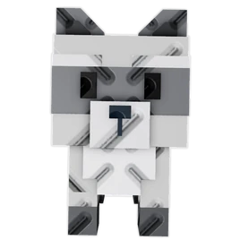 Raccoon