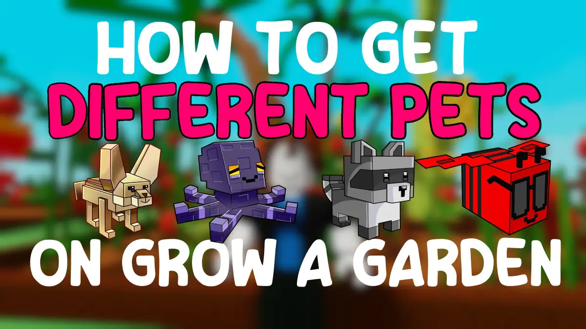 How to Get Pets in Grow a Garden – Complete Beginner’s Guide - BLOXXER
