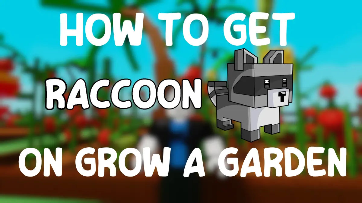 How to Get the Raccoon Pet in Grow a Garden – Fastest Methods - BLOXXER