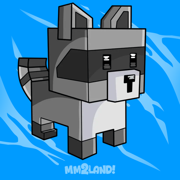 Raccoon