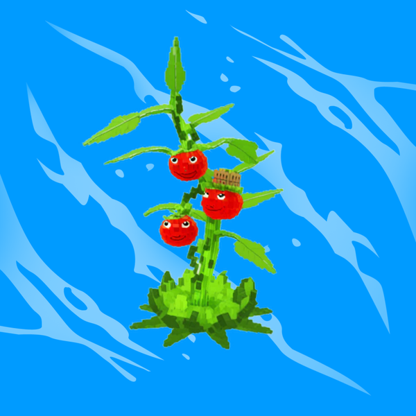 Tomatrio