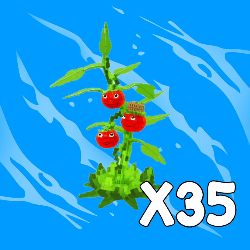 x35 Tomatrio Bundle