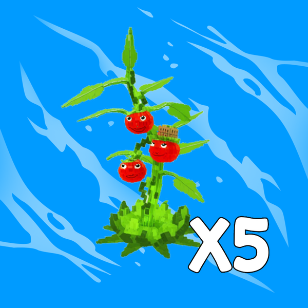 x5 Tomatrio Bundle